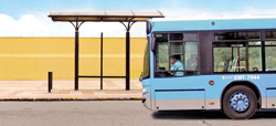 Autobus